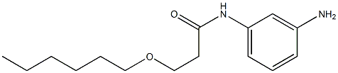 N-(3-aminophenyl)-3-(hexyloxy)propanamide 化学構造式