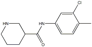 N-(3-chloro-4-methylphenyl)piperidine-3-carboxamide 结构式