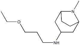 N-(3-ethoxypropyl)-8-methyl-8-azabicyclo[3.2.1]octan-3-amine Structure