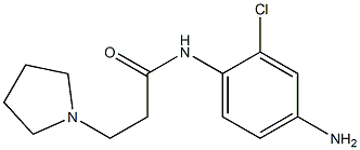 N-(4-amino-2-chlorophenyl)-3-pyrrolidin-1-ylpropanamide Struktur