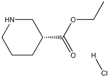  (R)-3-哌啶甲酸乙酯盐酸盐