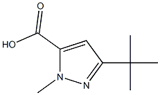 2-METHYL-3-CARBOXY-5-TERTBUTYLPYRAZOLE