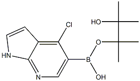 4-CHLORO-1H-PYRROLO[2,3-B]PYRIDINE-5-BORONIC ACID PINACOL ESTER Structure