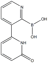 6-(1H-PYRIDIN-2-ONE)PYRIDINE-2-BORONIC ACID Struktur