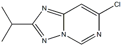 7-CHLORO-2-ISOPROPYL[1,2,4]TRIAZOLO[1,5-C]PYRIMIDINE 化学構造式