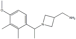 C-{1-[1-(4-METHOXY-2,3-DIMETHYL-PHENYL)-ETHYL]-AZETIDIN-3-YL}-METHYLAMINE