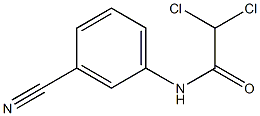 N1-(3-cyanophenyl)-2,2-dichloroacetamide Struktur