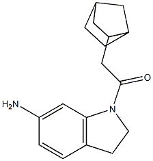  1-(6-amino-2,3-dihydro-1H-indol-1-yl)-2-{bicyclo[2.2.1]heptan-2-yl}ethan-1-one