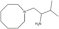 1-(azocan-1-yl)-3-methylbutan-2-amine Structure