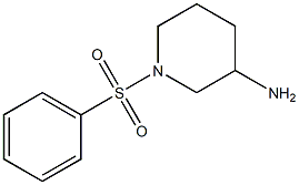 1-(benzenesulfonyl)piperidin-3-amine 结构式