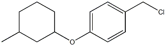 1-(chloromethyl)-4-[(3-methylcyclohexyl)oxy]benzene