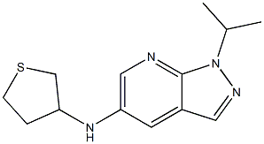 1-(propan-2-yl)-N-(thiolan-3-yl)-1H-pyrazolo[3,4-b]pyridin-5-amine 化学構造式