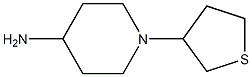 1-(thiolan-3-yl)piperidin-4-amine