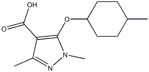 1,3-dimethyl-5-[(4-methylcyclohexyl)oxy]-1H-pyrazole-4-carboxylic acid,,结构式