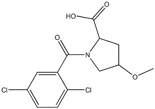 1-[(2,5-dichlorophenyl)carbonyl]-4-methoxypyrrolidine-2-carboxylic acid 化学構造式