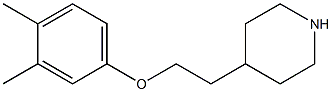 4-[2-(3,4-dimethylphenoxy)ethyl]piperidine