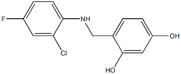 4-{[(2-chloro-4-fluorophenyl)amino]methyl}benzene-1,3-diol,,结构式
