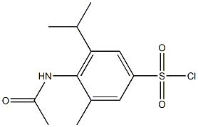 4-acetamido-3-methyl-5-(propan-2-yl)benzene-1-sulfonyl chloride Structure