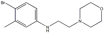 4-bromo-3-methyl-N-[2-(morpholin-4-yl)ethyl]aniline 化学構造式