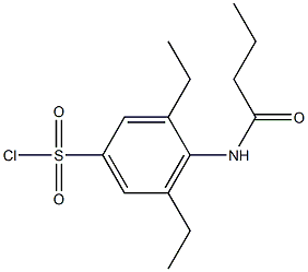 4-butanamido-3,5-diethylbenzene-1-sulfonyl chloride,,结构式