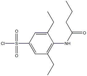  4-butanamido-3,5-diethylbenzene-1-sulfonyl chloride