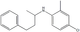 4-chloro-2-methyl-N-(4-phenylbutan-2-yl)aniline Struktur