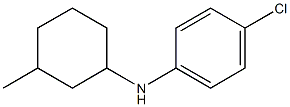 4-chloro-N-(3-methylcyclohexyl)aniline,,结构式