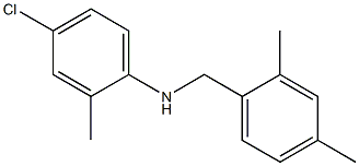 4-chloro-N-[(2,4-dimethylphenyl)methyl]-2-methylaniline 化学構造式