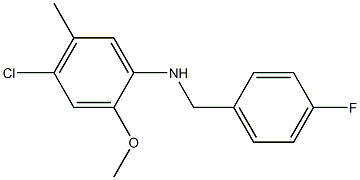 4-chloro-N-[(4-fluorophenyl)methyl]-2-methoxy-5-methylaniline,,结构式