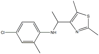 4-chloro-N-[1-(2,5-dimethyl-1,3-thiazol-4-yl)ethyl]-2-methylaniline Structure