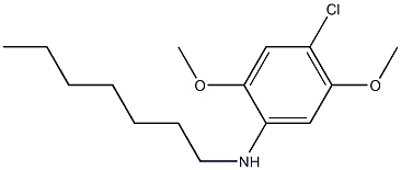 4-chloro-N-heptyl-2,5-dimethoxyaniline Structure