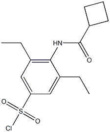 4-cyclobutaneamido-3,5-diethylbenzene-1-sulfonyl chloride 化学構造式