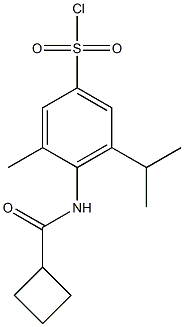 4-cyclobutaneamido-3-methyl-5-(propan-2-yl)benzene-1-sulfonyl chloride