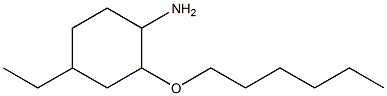 4-ethyl-2-(hexyloxy)cyclohexan-1-amine