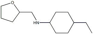 4-ethyl-N-(oxolan-2-ylmethyl)cyclohexan-1-amine 结构式