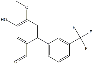 4-hydroxy-5-methoxy-3'-(trifluoromethyl)-1,1'-biphenyl-2-carbaldehyde|