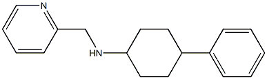 4-phenyl-N-(pyridin-2-ylmethyl)cyclohexan-1-amine 结构式