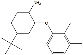4-tert-butyl-2-(2,3-dimethylphenoxy)cyclohexan-1-amine 结构式