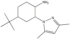 4-tert-butyl-2-(3,5-dimethyl-1H-pyrazol-1-yl)cyclohexanamine Structure