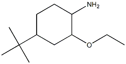 4-tert-butyl-2-ethoxycyclohexanamine 化学構造式