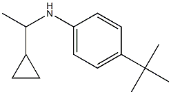 4-tert-butyl-N-(1-cyclopropylethyl)aniline,,结构式