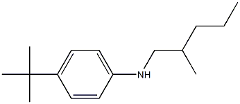 4-tert-butyl-N-(2-methylpentyl)aniline Struktur