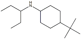 4-tert-butyl-N-(pentan-3-yl)cyclohexan-1-amine,,结构式