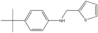 4-tert-butyl-N-(thiophen-2-ylmethyl)aniline Struktur
