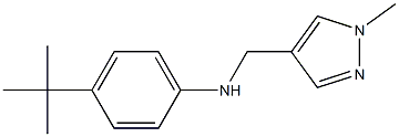 4-tert-butyl-N-[(1-methyl-1H-pyrazol-4-yl)methyl]aniline|