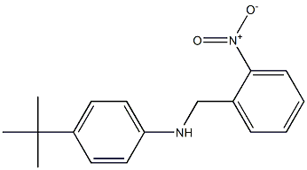 4-tert-butyl-N-[(2-nitrophenyl)methyl]aniline Structure