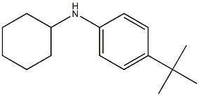 4-tert-butyl-N-cyclohexylaniline Structure