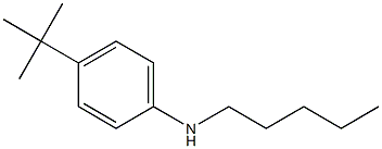 4-tert-butyl-N-pentylaniline 结构式