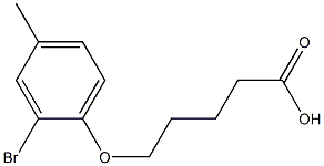 5-(2-bromo-4-methylphenoxy)pentanoic acid