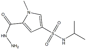 5-(hydrazinocarbonyl)-N-isopropyl-1-methyl-1H-pyrrole-3-sulfonamide Struktur